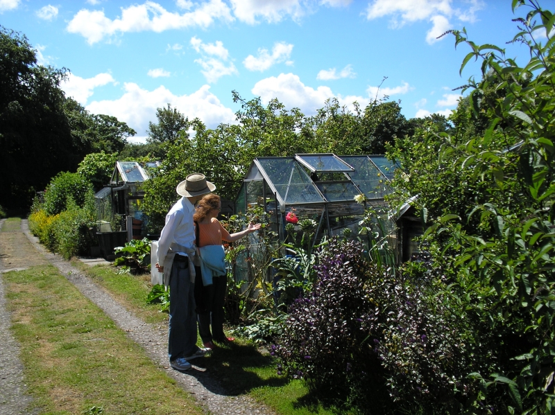 Sefton Park Allotments
